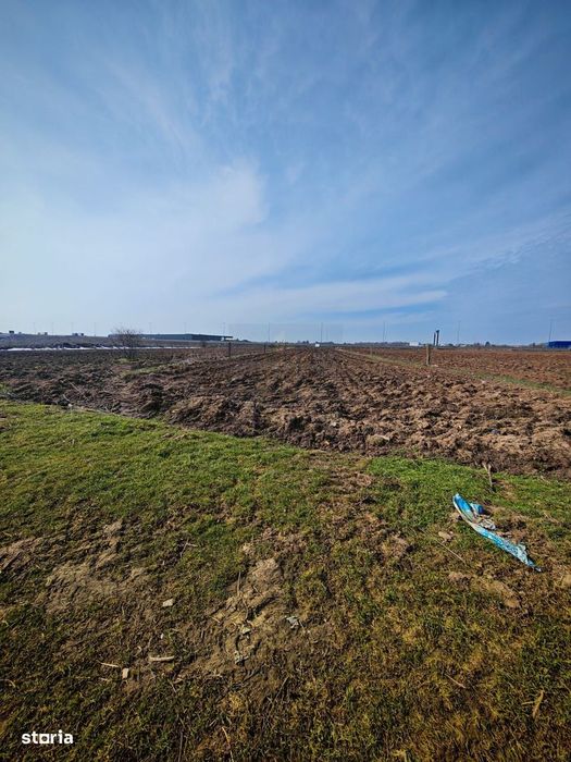 Teren de Vanzare Industrial Caciulati A3
