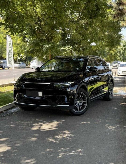 Leapmotor rasrochkaga bor