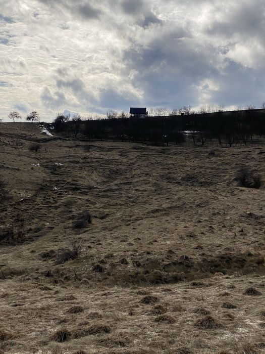 Teren extravilan pretabil pentru casă de vacantă