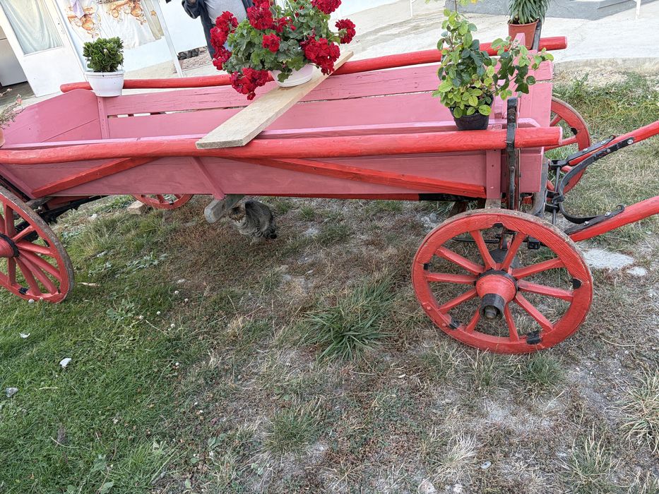 Vând căruță tradițională din lemn, cu aspect rustic și construcție solidă.