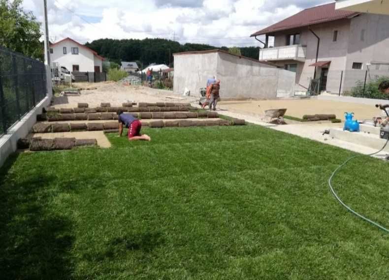 Gazon Rulou Calitate extra