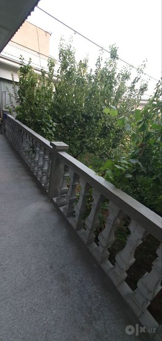 Balyasina hizmati arzon va sifatli