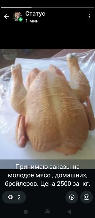 Продам домашних бройлерных кур