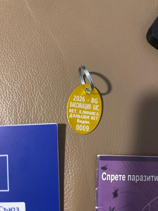 Продавам Женски Мини Пинчер на 7-месеца !