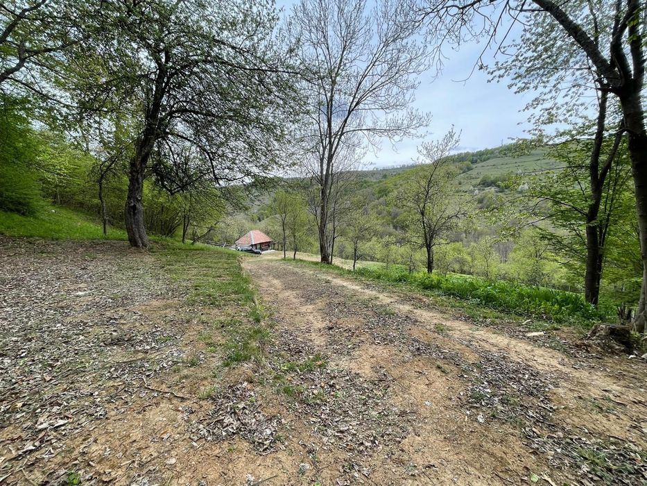 Casă, livada și pădure în com Bătrâna judetul Hunedoara ținutul pădurenilor.