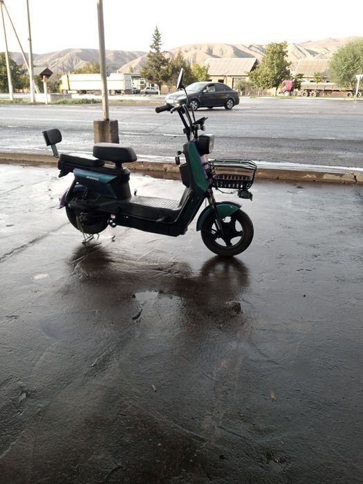 Olganiga bir oy bogan