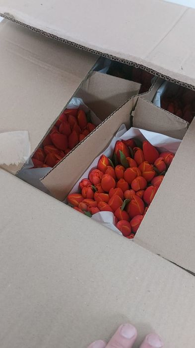 Тюльпаны розница 690 тенге