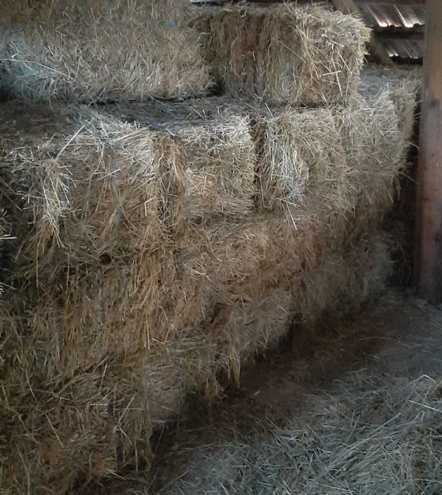 Baloti de fan dreptunghiulari