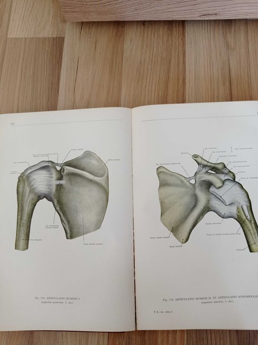 Анатомически атлас