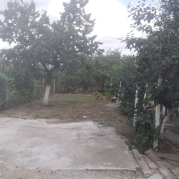 Vând casă în Micălaca