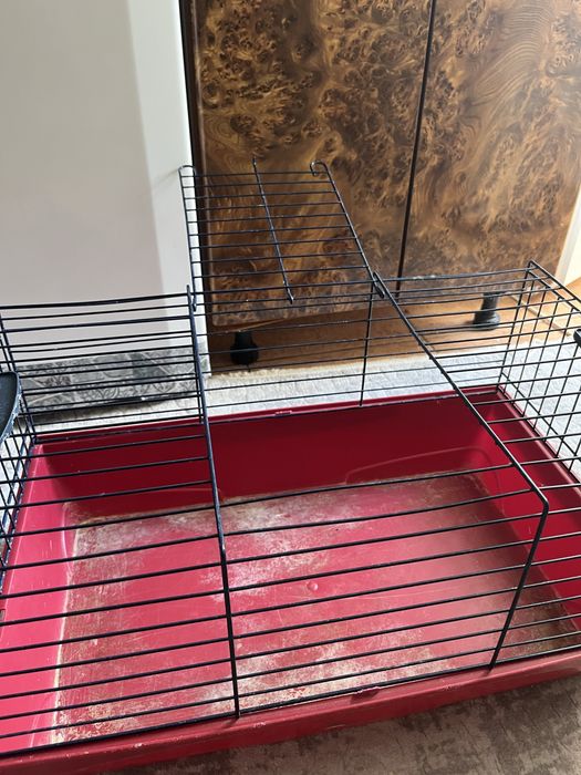 Vand cusca rozatoare (Negociabil)