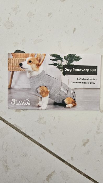 Дреха за малко куче