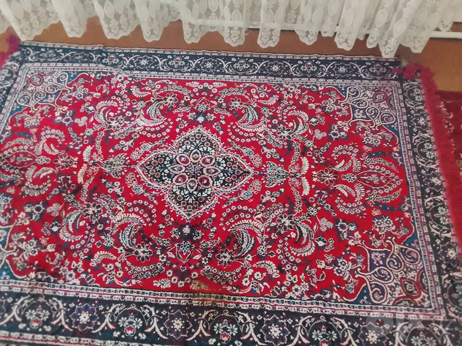Албанский палак сотилади