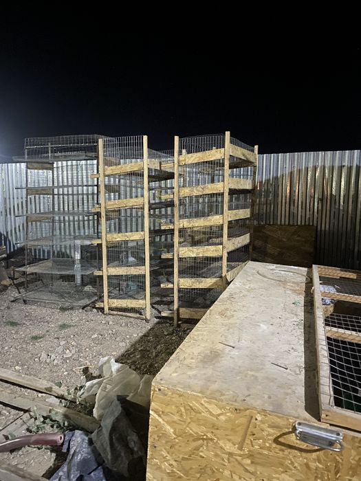 Бөдене , клеткасы сатылады .