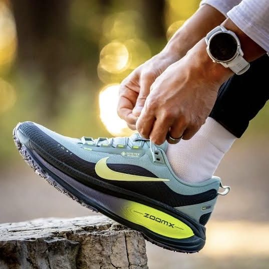 Nike Vomero 18 gore-tex