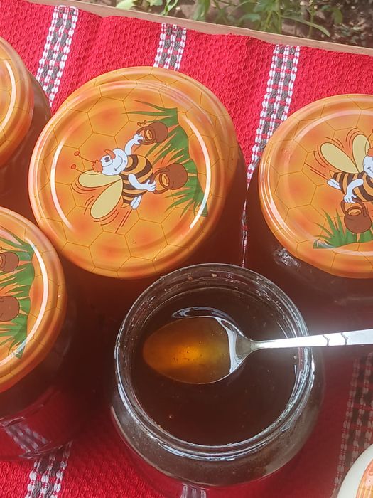 Miere de mană curata productie 2025