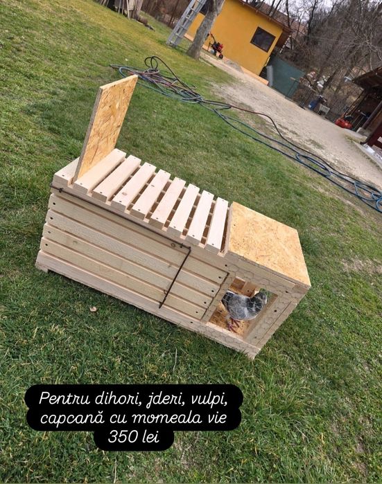 Capcane animale si pasari din lemn