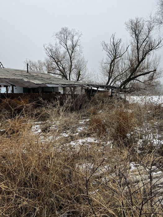 Участок 12 соток