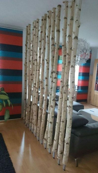 Mesteacan pentru pereti despartitori/ Paravane mesteacan alb / Tulpini