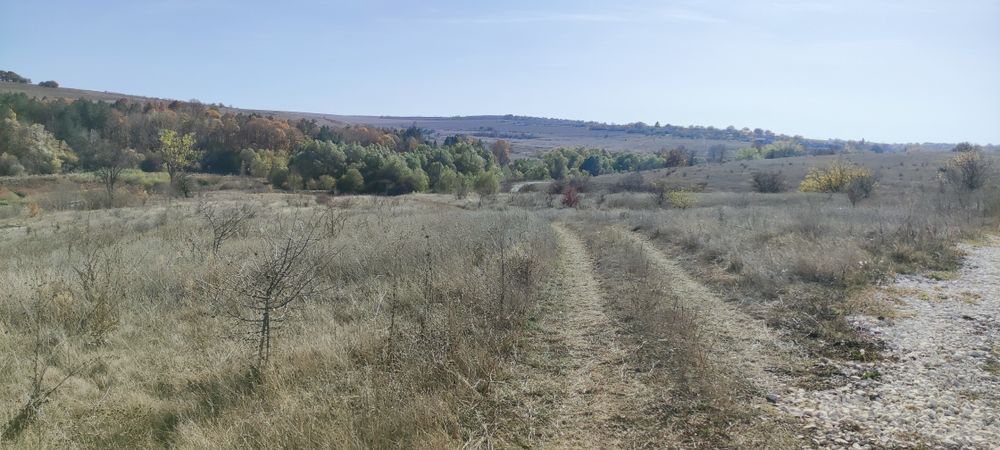 Продава се Парцел в с. Николаевка, Област Варна - 6200 кв.м за 11 €/кв.м - Снимка #7