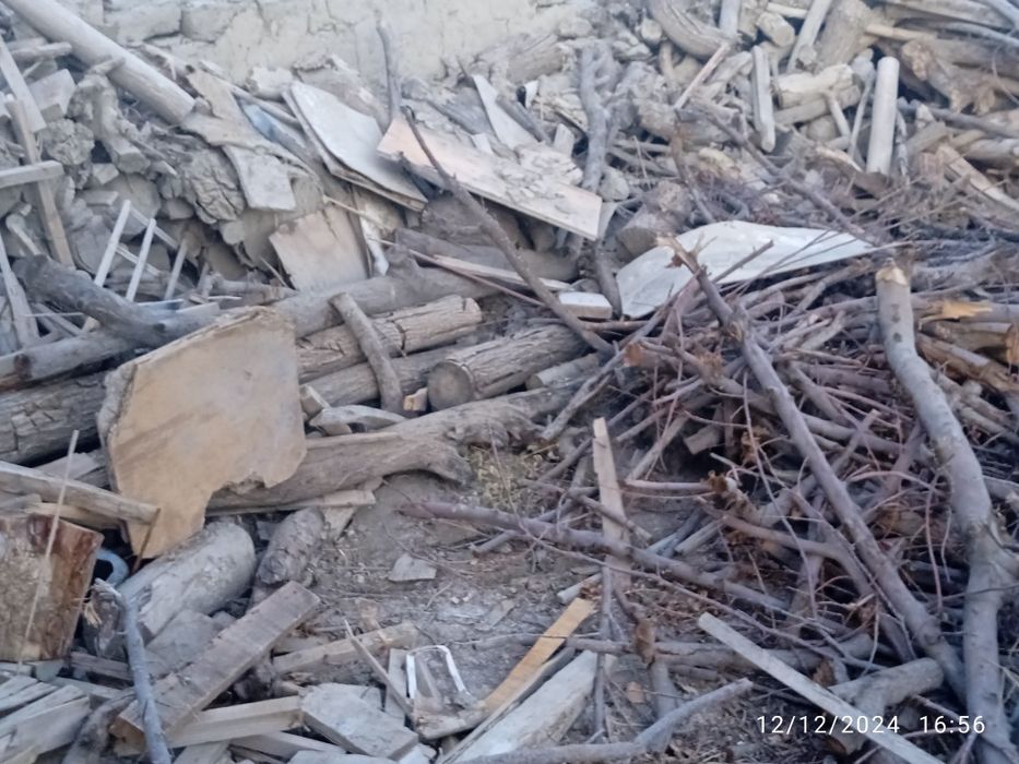 Oʻtin daraxtniki sotiladi