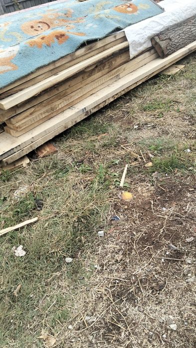 Cherestea tivită stejar