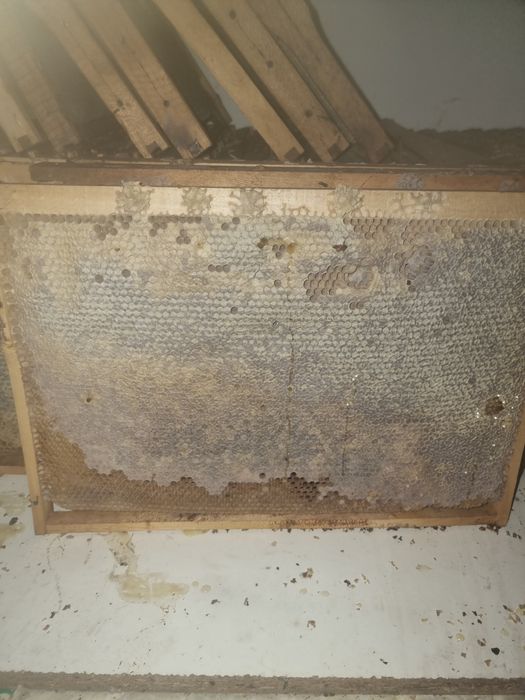 Miere de albine, ceară