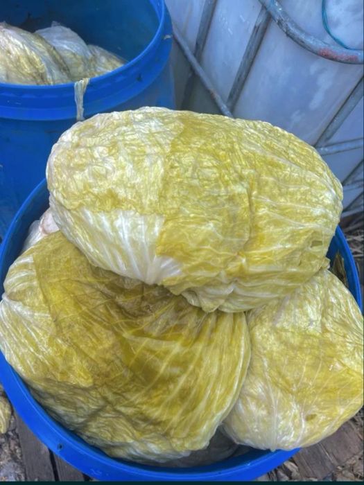 Vand varză murată Gumna