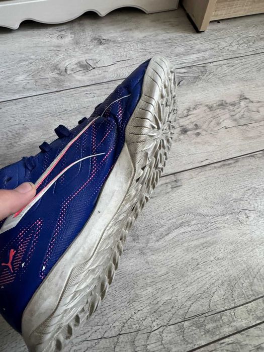 Сороконажки бушные