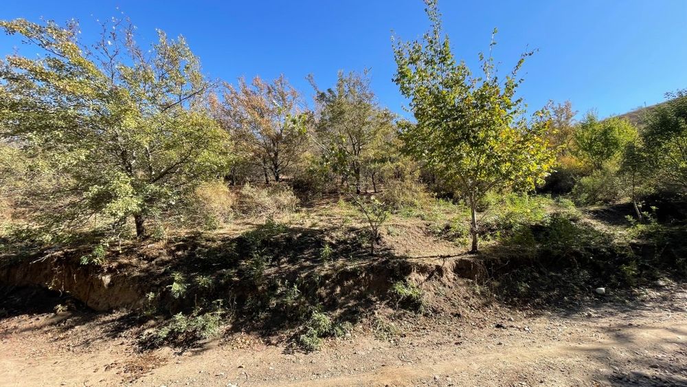 Продам участок в кыргауылды