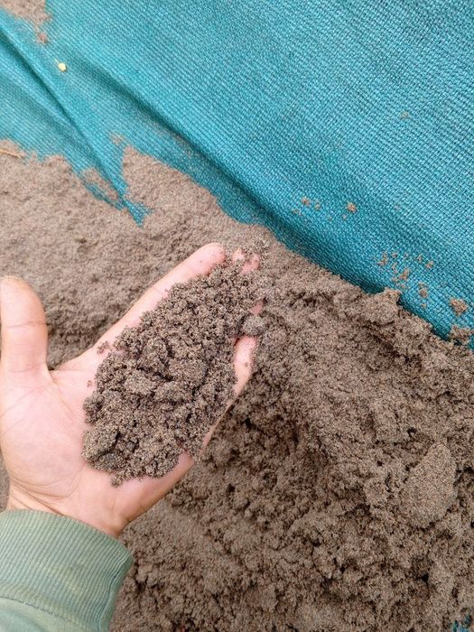 Klenis shebin chinoz qum Кум клинец щебень компот