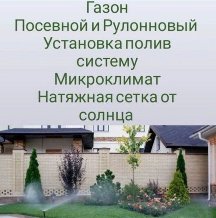 Посевной газон и готовый газон