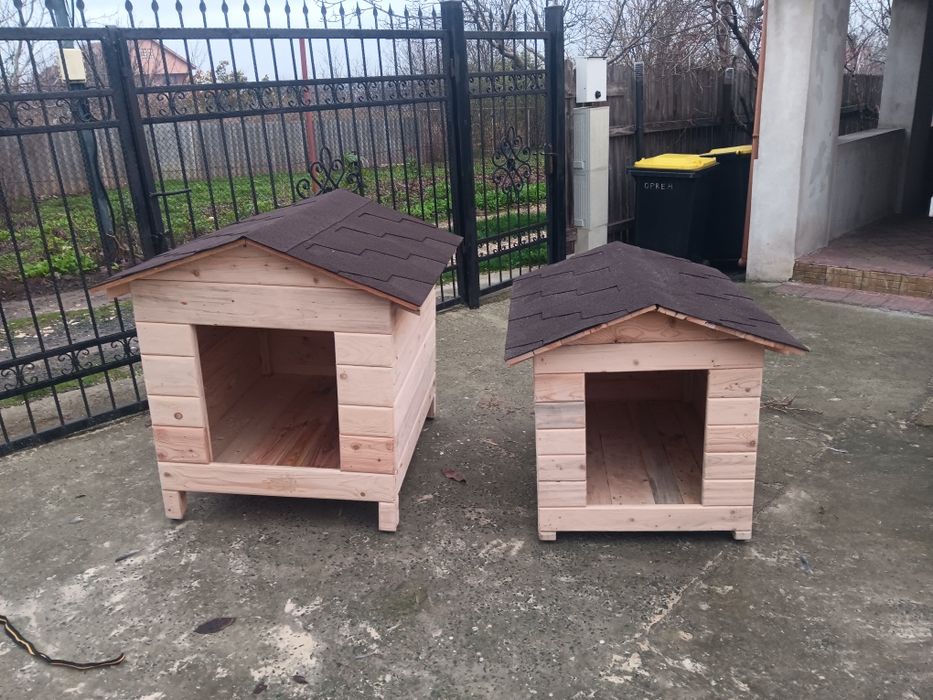 Cusca catel pisici la comanda