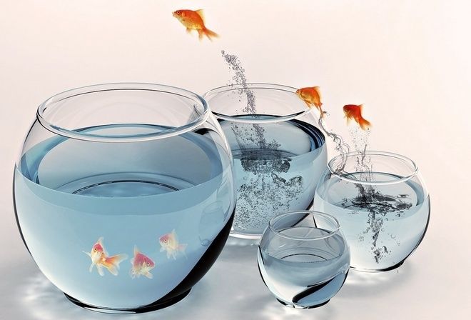 Круглый аквариум 9 л