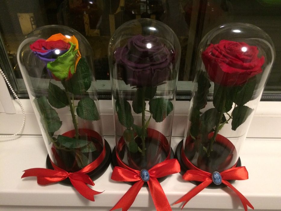 Trandafir criogenati conservati cadou