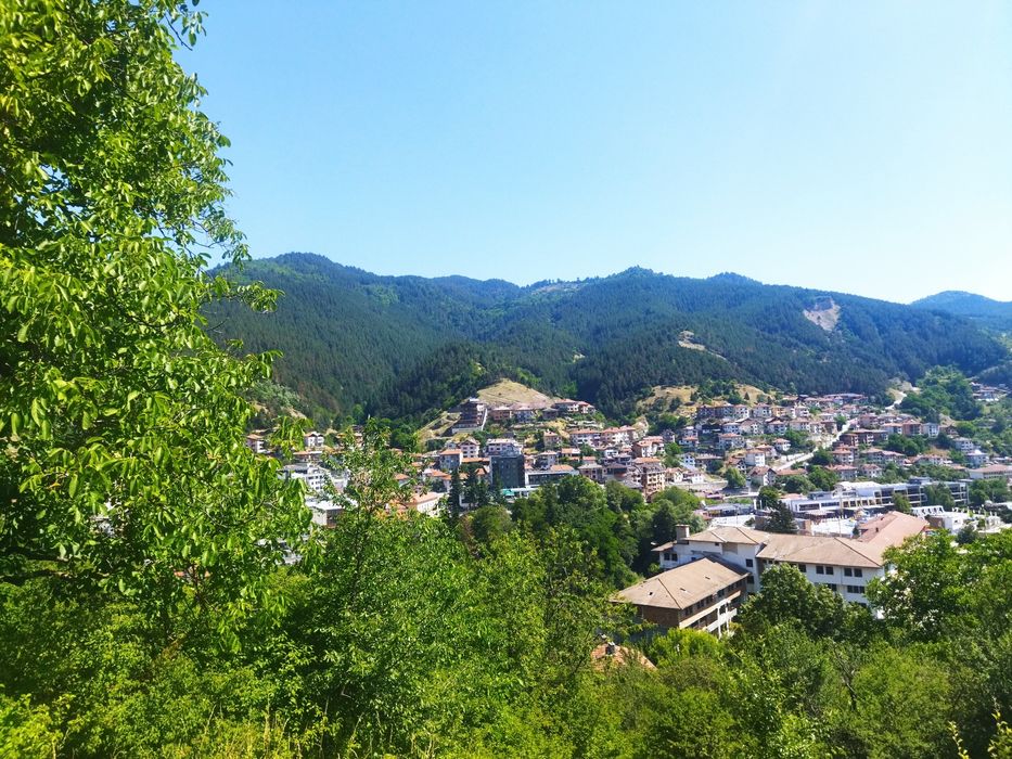 Продава се Парцел в Девин - 6627 кв.м за 61 €/кв.м - Снимка #7