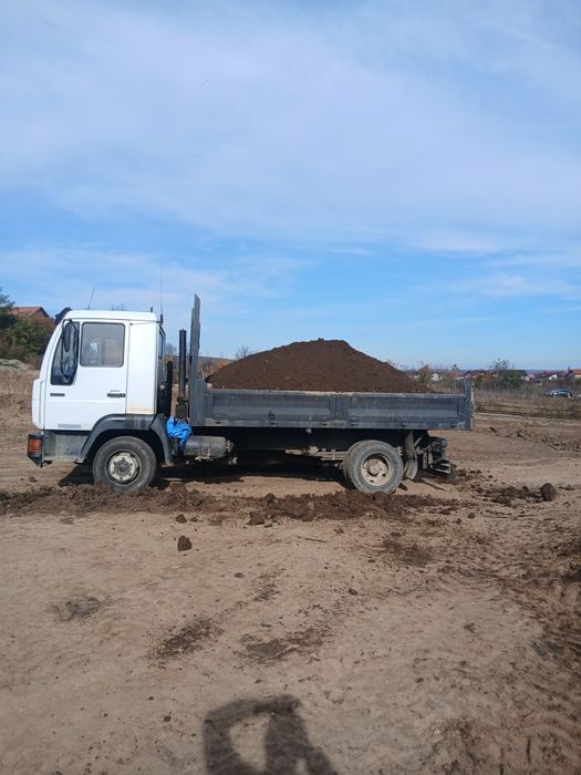Transport  moluz Bacau