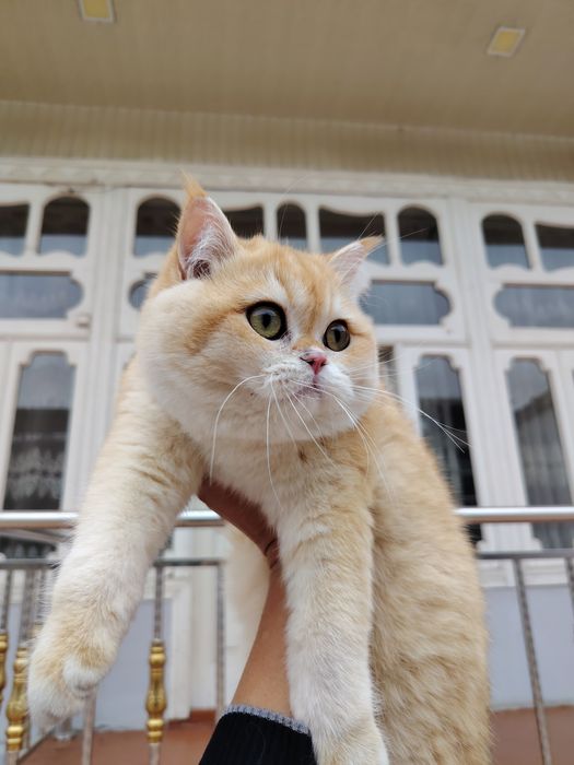 Men bir yigitga birinchi marta minaj qildim.