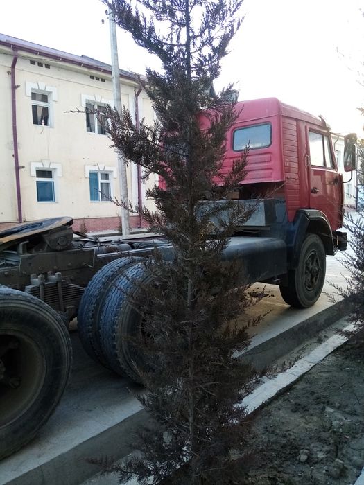 Метан газ холати яйши