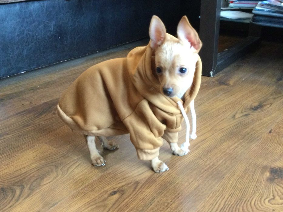 НОВ топъл кафяв суичър за куче от Италия размер S и M