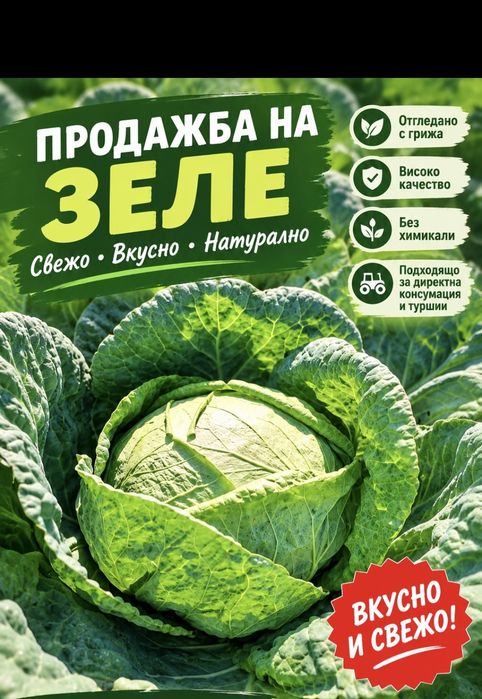 Продавам зеле кьосе
