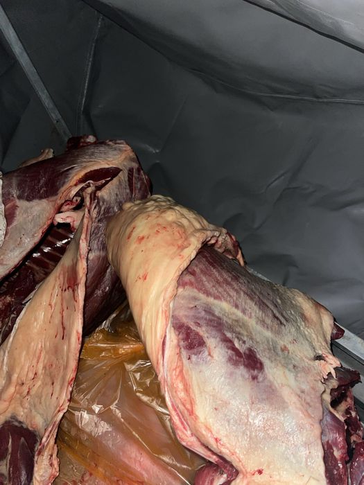 Тай жабагы  сатылады