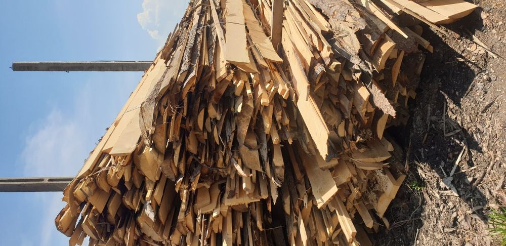 Deșeuri de foc molid brad - orlat