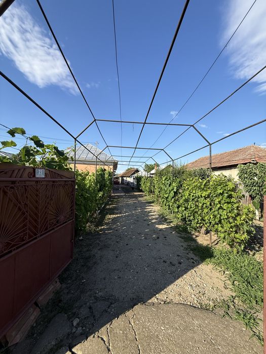 De vânzare: Casă la strada principală – Sat Olari, com. Pârșcoveni