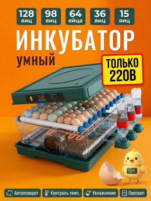 Инкубатор для яиц, автоматический, цифровой дисплей, с переворотом,