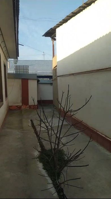 Hovli sotiladi Uy sotiladi uchastka sotilda