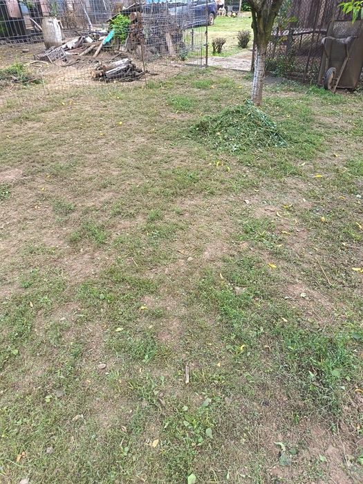 Ofer servicii: toaletat copaci,cosit iarba, curățat terenuri, gospodar