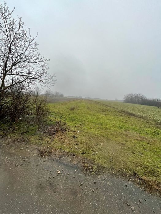 Teren intravilan + extravilan