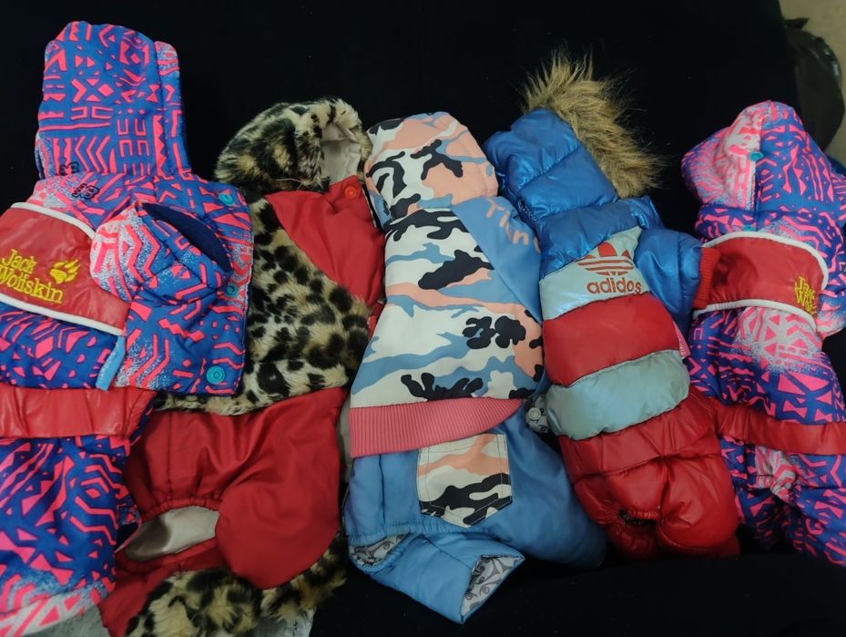 Продам одежду на той терьера