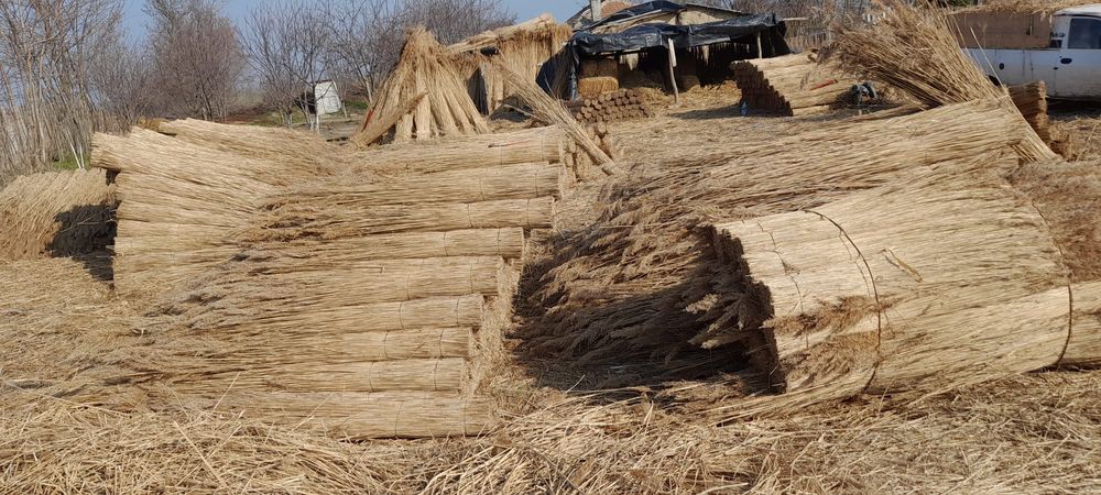 Stuf sortat grosimea 50-60